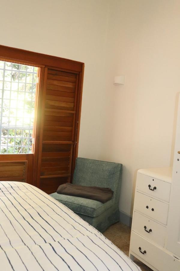Gordon Town Kotch Pansiyon Kingston Dış mekan fotoğraf