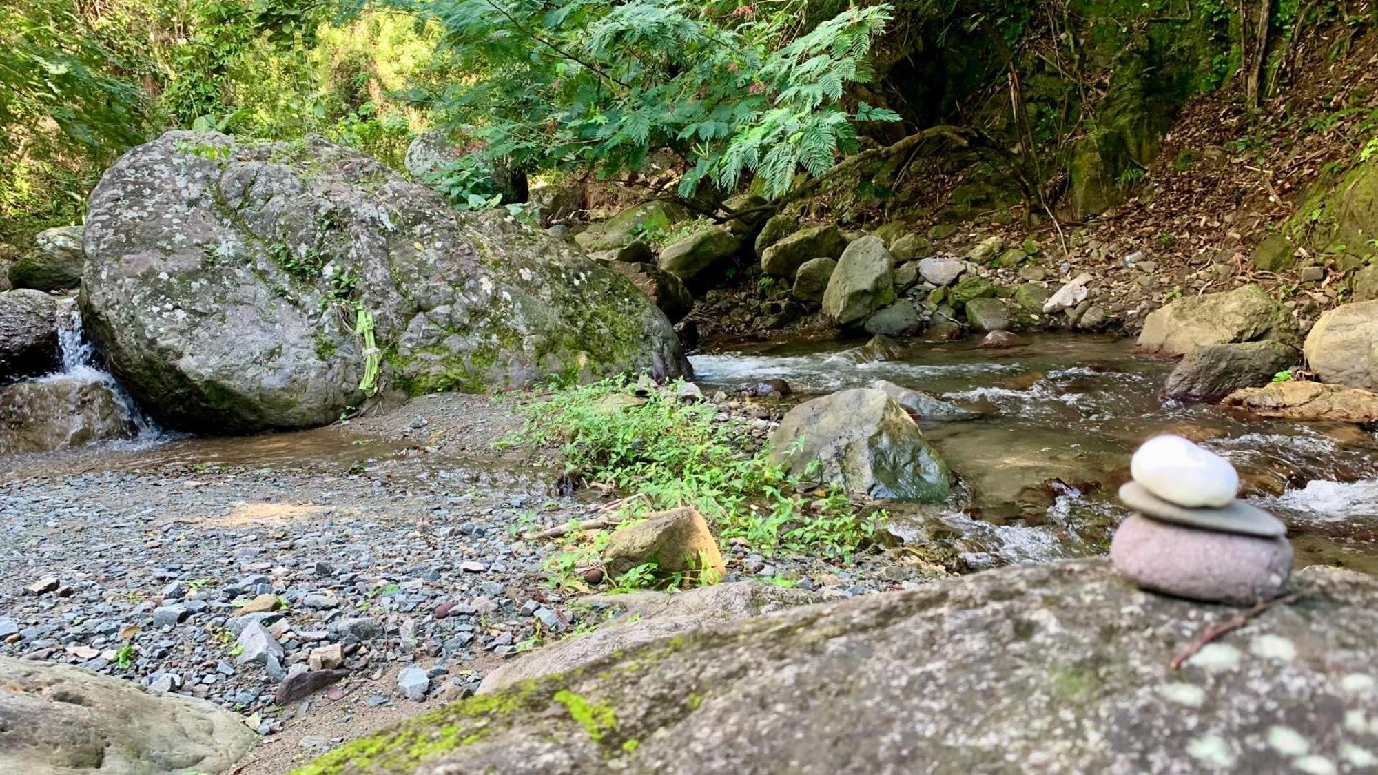 Gordon Town Kotch Pansiyon Kingston Dış mekan fotoğraf